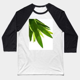 PALM LEAF GEEN TROPICAL ISLAND FOILAGE Baseball T-Shirt